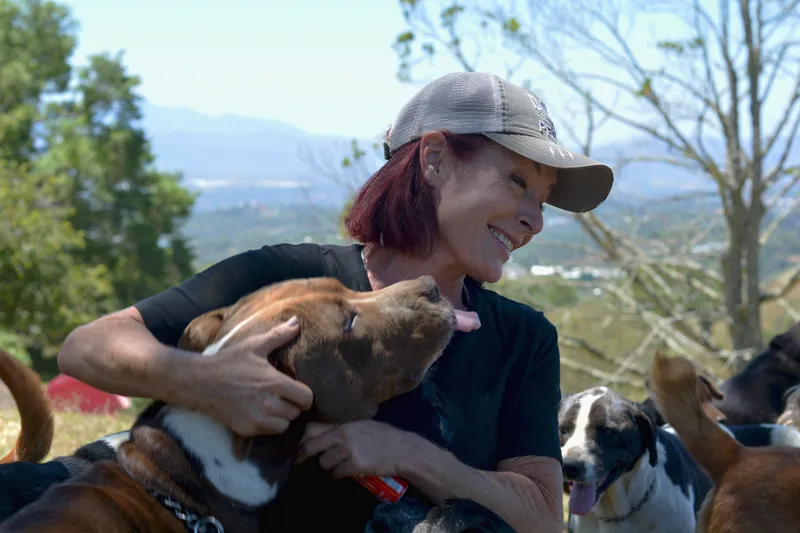 Las grandes mujeres detrás de Land of the Strays