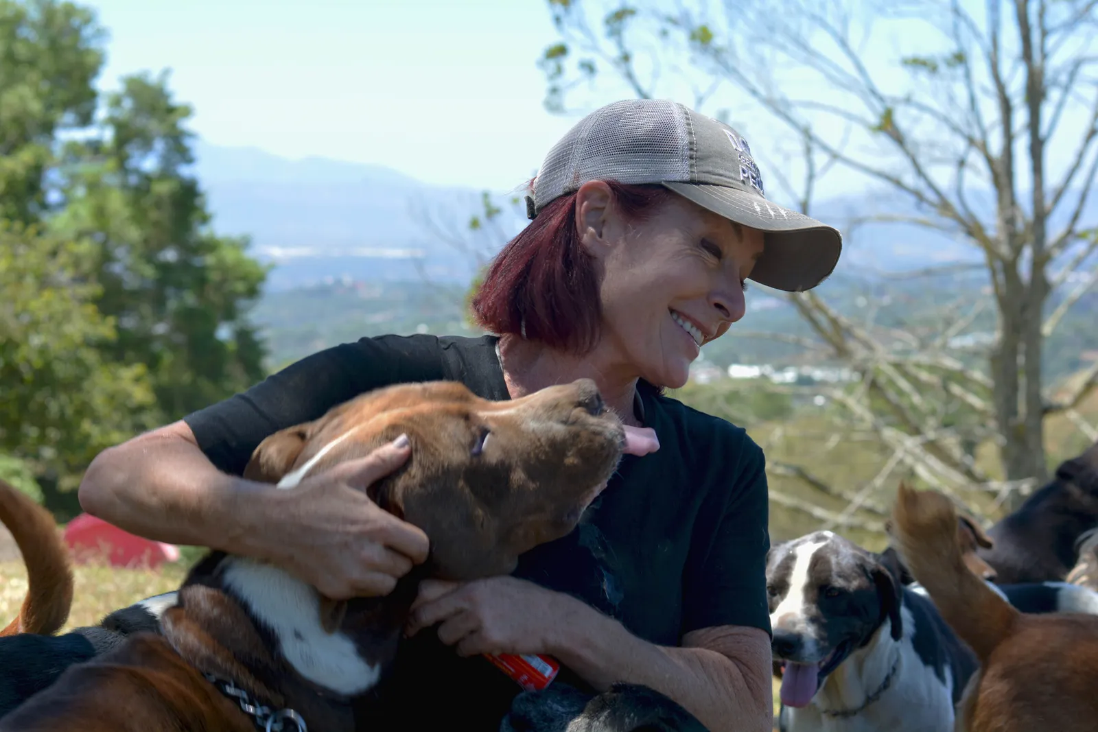 Die großartigen Frauen hinter Land of the Strays