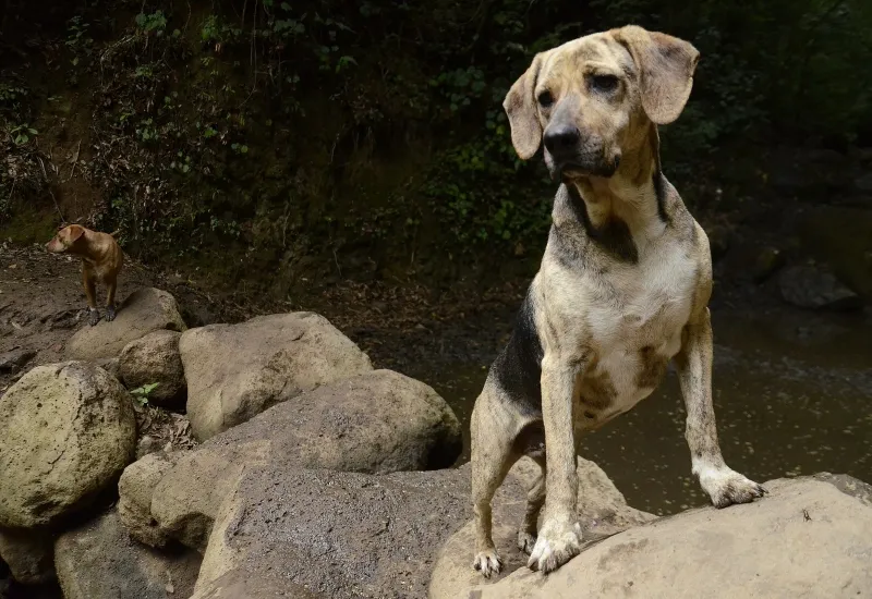 Besuch bei Territorio de Zaguates.
